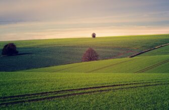 Unlocking Ownership: How AI is Revolutionizing the Identification of Unregistered Land and Enhancing Probate Processes in the UK