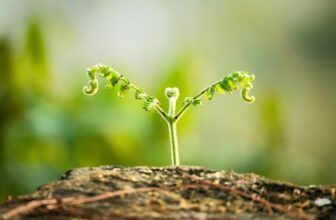 Unlocking Potential: AI-Powered Audience Growth Strategies and Their Transformative Benefits