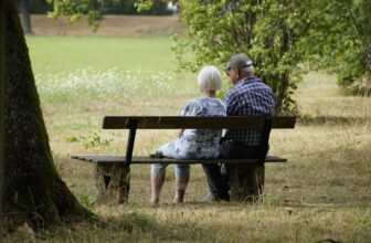 Top 10 Leaders in Elderly Care Services: A Comprehensive Overview