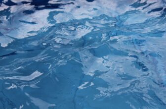 Top 10 Pool Maintenance Companies Revolutionizing the Industry: A Comprehensive Overview