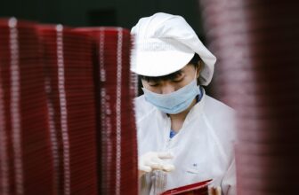Top 10 Companies Leading the Way in Social Work Services