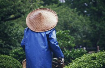 Top 10 Leading Companies Revolutionizing Gardening Services in 2023