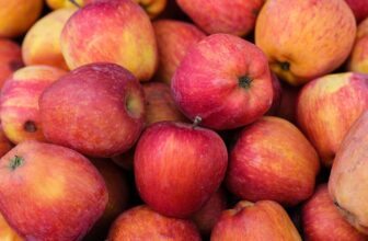 Unlocking Nature’s Potential: The Benefits of Organic Supplements for Health and Wellness