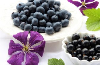 Top 10 Immune-Boosting Foods to Supercharge Your Health