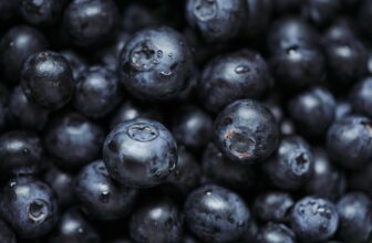 Unlocking the Power of Superfoods: Nutritional Giants for a Healthier You