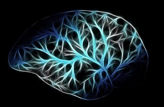 Unlocking Potential: The Science and Efficacy of Brain Supplements for Enhanced Cognitive Function