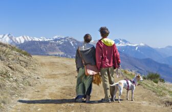 Navigating the Future: How AI is Revolutionizing Tax Liability Forecasting in UK Probate