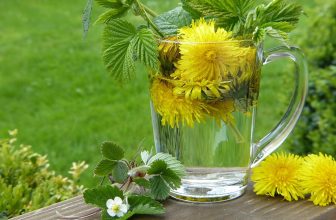 Unveiling the Truth: Do Detox Teas Really Work?