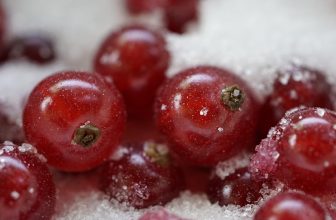 Top 10 Fiber-Rich Foods You Need to Include in Your Diet for Better Health