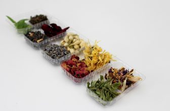 Exploring the Benefits and Risks of Alternative Medicine: A Comprehensive Guide