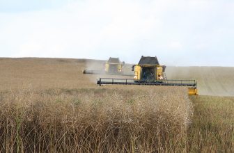 Revolutionizing Agriculture: The Transformative Role of AI in Modern Farming Practices