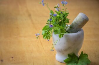 Nature’s Pharmacy: Exploring Effective Natural Remedies for Common Ailments