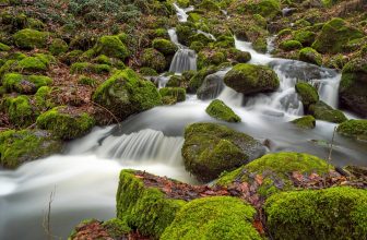 Unlocking the Benefits: A Comprehensive Guide to Water Fasting and Its Impact on Health