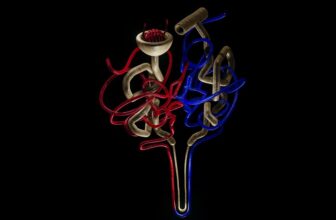 Unlocking Kidney Health: Essential Tips for a Vibrant Life