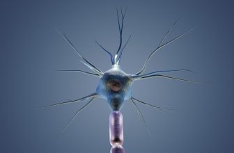 Unlocking Wellness: The Power of Vagus Nerve Stimulation for Health and Healing