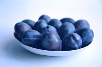 Unlocking Wellness: The Essential Role of Nutrition in Leading a Healthy Life
