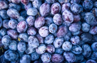 Unlocking the Benefits of a Vegan Diet: A Path to Health, Sustainability, and Compassion