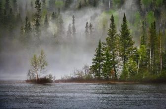 Harnessing AI for a Sustainable Future: Innovations in Climate Change Mitigation