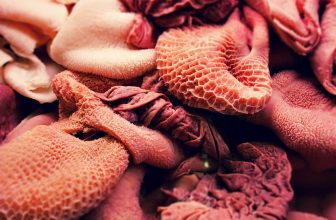 Unlocking the Secrets of the Gut Microbiome: How Your Microbial Community Impacts Health and Wellness