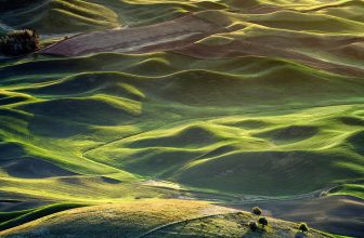 Integrative Healing: The Relevance of Eastern Medicine in Modern Health Practices