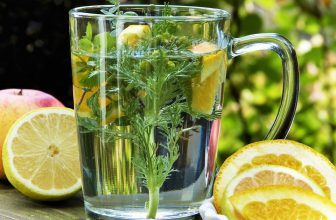 Unlocking Nature’s Remedies: The Efficacy and Future of Herbal Medicine