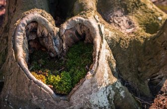 Unlocking Your Best Self: The Rise of Personalized Wellness in Today’s Health Journey