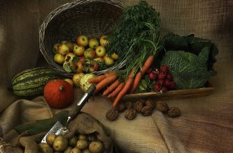Revolutionizing Wellness: How AI is Transforming Nutrition and Personalized Diets