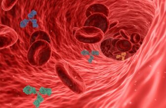 Boost Your Defenses: Top Strategies for Enhancing Immune Support Naturally