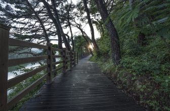 Pathways to Recovery: Exploring Effective Strategies for Trauma Healing