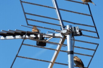 Leading the Connection: Top 10 Telecom Companies Reshaping the Industry
