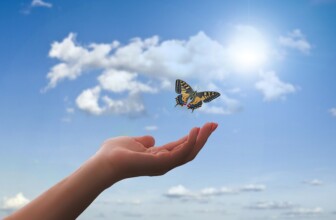Embracing Wellness: A Holistic Approach to Mind, Body, and Spirit Health