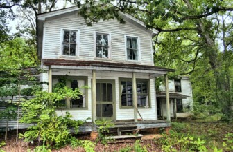 Smart Solutions: Leveraging AI to Monitor Vacant Property Risks and Enhance Probate Management in the UK