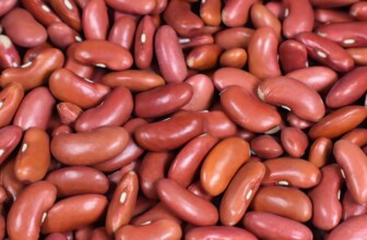 10 Essential Tips for Maintaining Optimal Kidney Health