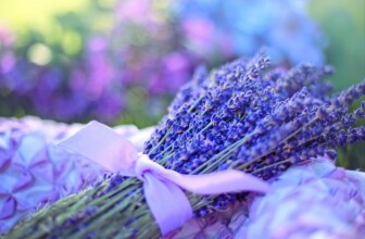Unlocking Wellness: The Transformative Power of Aromatherapy in Everyday Life