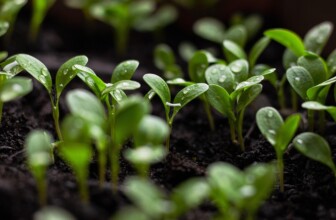 Revolutionizing Sustainability Tracking: The Transformative Benefits of AI in Environmental Stewardship