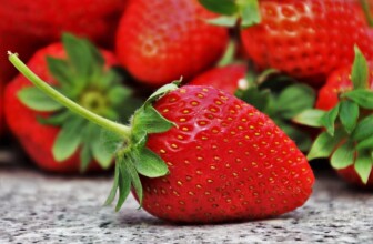 Fuel Your Body: The Ultimate Guide to Healthy Eating for a Happier Life