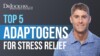 Top 5 Adaptogens For Stress Reduction