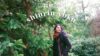 Shinrin-Yoku » The Japanese Art of Forest Bathing