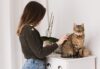 Top 10 Pet Grooming Companies Revolutionizing Pet Care in 2023