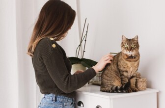 Top 10 Pet Grooming Companies Revolutionizing Pet Care in 2023