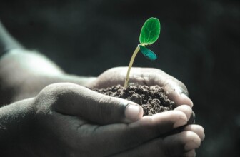 Top 10 Life Coaching Companies Transforming Personal Development