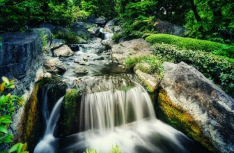 Unlocking the Benefits of Water Fasting: A Journey to Health and Clarity