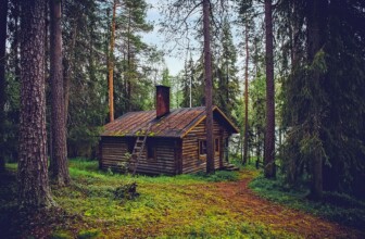 Top 10 Home Staging Companies Reshaping Real Estate Success