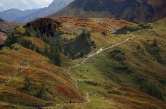 Discover the Top 10 Scenic Tour Companies to Elevate Your Travel Experience