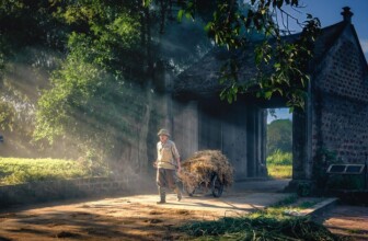Top 10 Leading Companies Revolutionizing Agricultural Services: A Comprehensive Overview