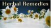 Herbal Remedies for Common Ailments