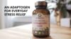 An adaptogen for everyday stress relief