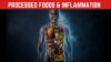 Processed Foods and Inflammation: What You Need to Know 🔥🍕