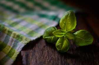 Harnessing Nature: The Power of Adaptogenic Herbs for Modern Living