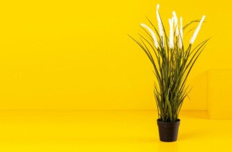 Finding Peace: Effective Strategies for PMS Relief